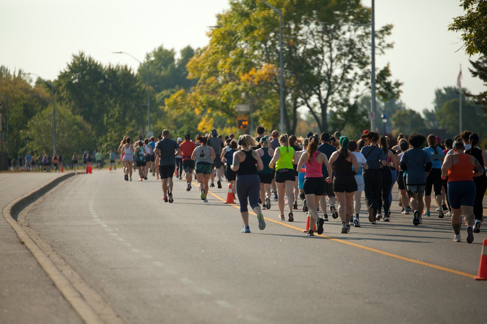 Best and Fastest Ways to Find RCIP North Bay Jobs