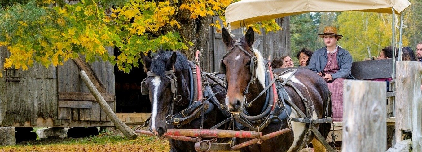 AIP New Brunswick Analysis , Jobs , 15 Biggest Employers and Preparation for 2026