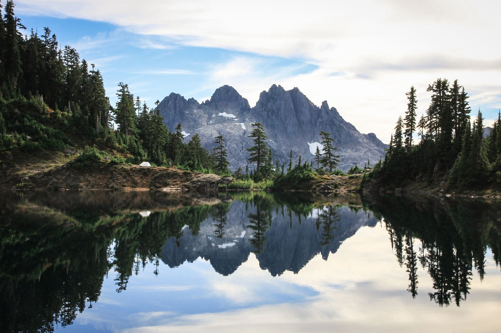 BC PNP Skilled Worker 5 Most In-Demand Jobs and How To Qualify for Permanent Residency