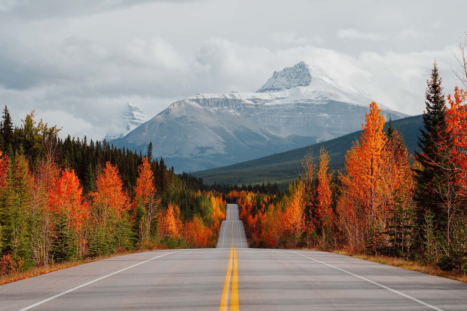 Alberta Immigration Draws Analyzed October 2025