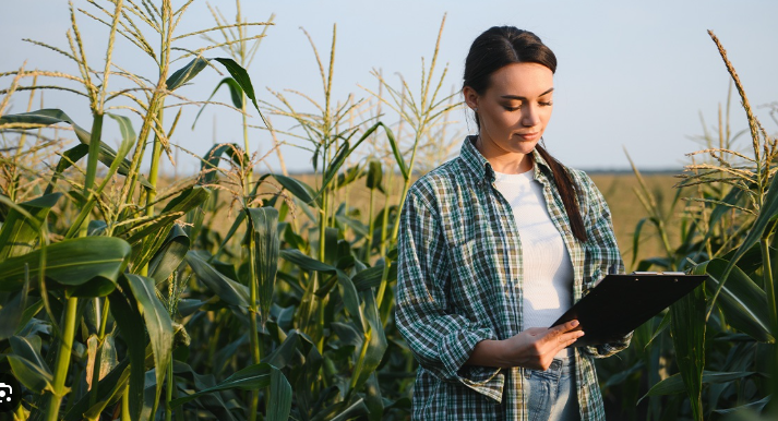 PR jobs Ontario - Rural Community Immigration Pilot