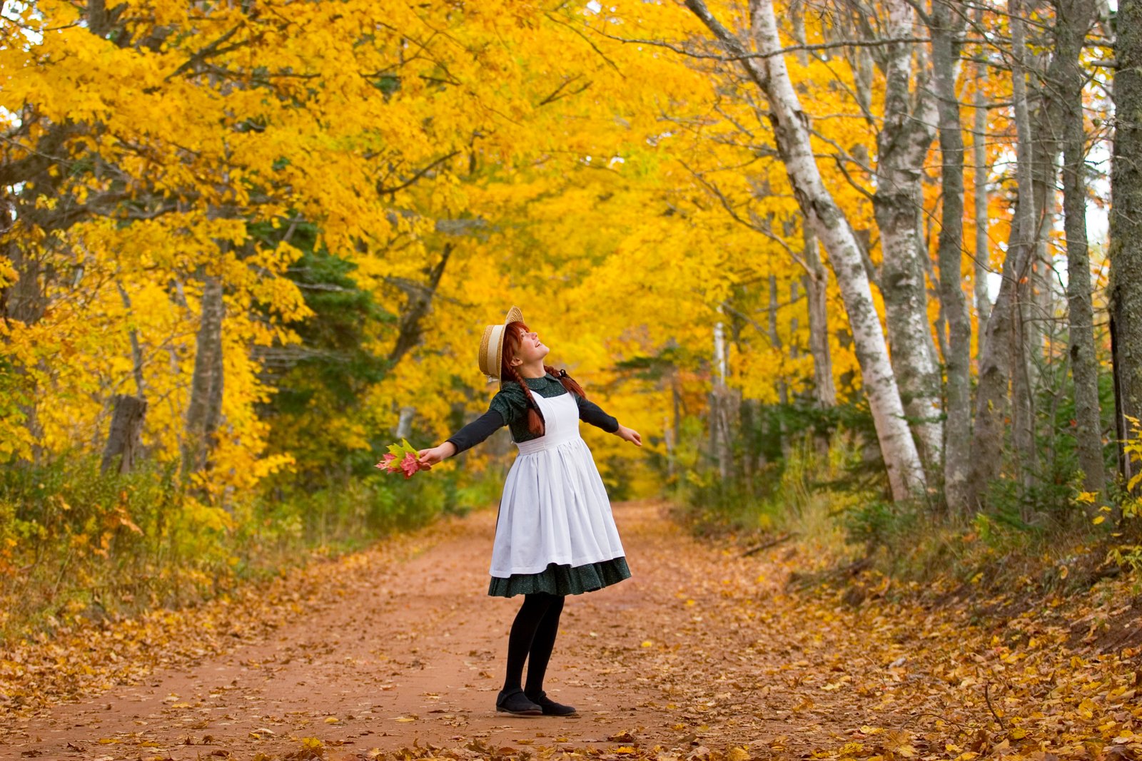 Prince Edward Island Runs Surprise PNP Round For International Graduates